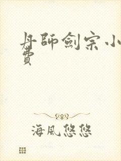 丹师剑宗小说免费