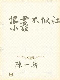 恨君不似江楼月小说