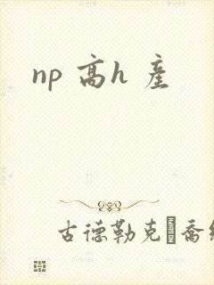 np 高h 产