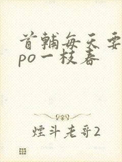 首辅每天要不够po一枝春封面