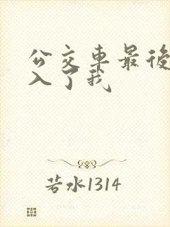 公交车最后一排入了我