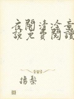 夜阑清冷意欢小说免费阅读