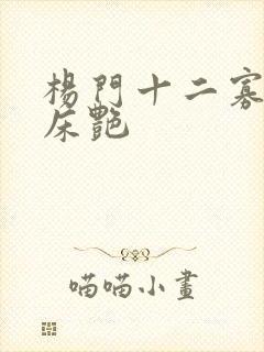 杨门十二寡妇肉床艳