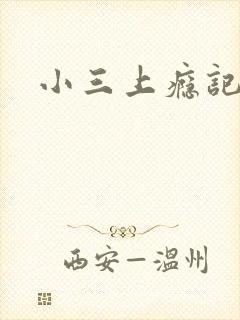 小三上瘾记