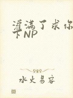 灌满了求你们停下NP