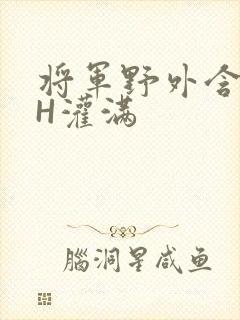 将军野外含公主H灌满
