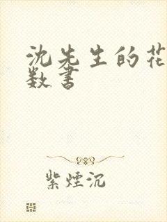 沈先生的花式调数书