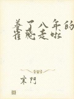 养了八年的金丝雀飞走啦