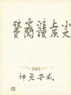 破云淮上小说免费阅读原文