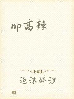 np高辣