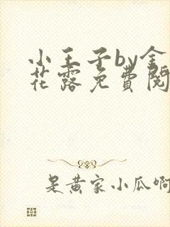 小王子by金银花露免费阅读笔趣阁