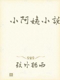 小阿姨小说