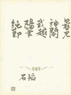 纯阳武神最新章节笔趣阁免费阅读