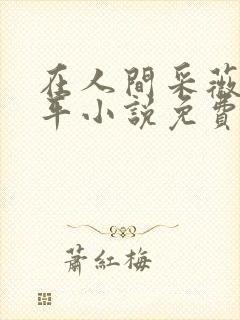 在人间采薇陆三平小说免费阅读