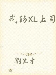 我的XL上司