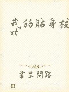 我的贴身校花txt封面