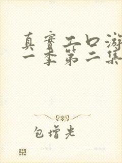 真实工口游戏第一季第二集