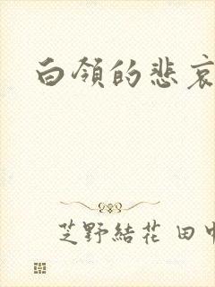 白领的悲哀封面