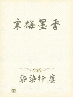 寒梅墨香封面