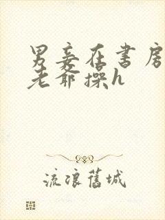 男妾在书房边被老爷操h