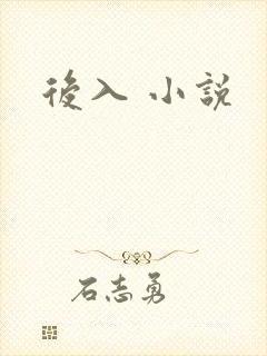 后入 小说