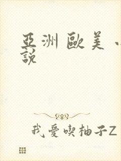 亚洲 欧美 小说封面