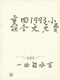 重回1993小说全文免费阅读无弹窗