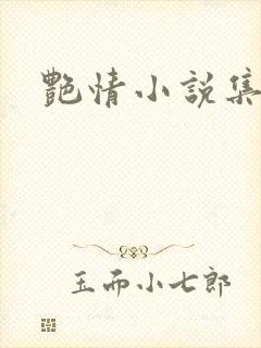 艳情小说集封面