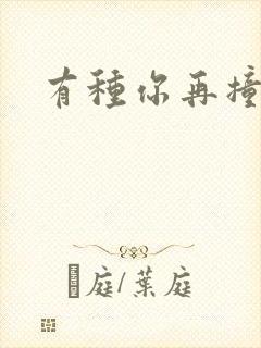 有种你再撞一下