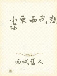 小东西我想弄坏你