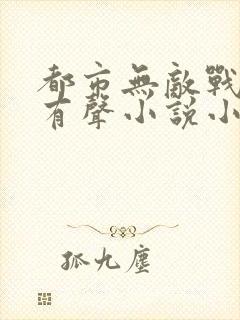 都市无敌战神 有声小说小说