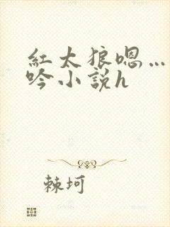 红太狼嗯…啊呻吟小说h封面