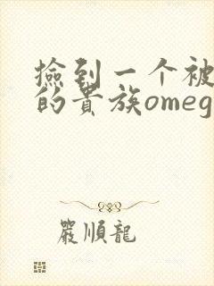 捡到一个被抹布的贵族omega