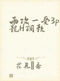 两攻一受3p双龙H调教