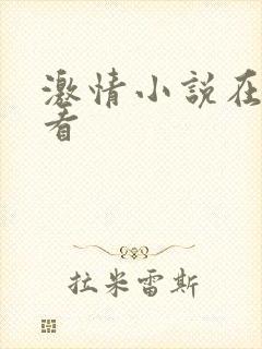 激情小说在线观看