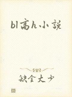 bl高h小说