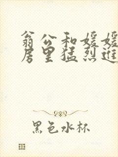 翁公和媛媛在厨房里猛烈进出