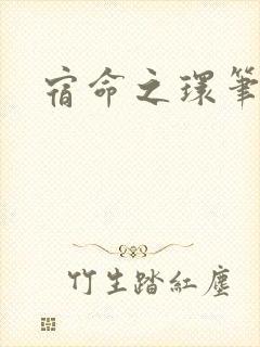 宿命之环笔趣阁封面