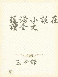 张浩小说在线阅读全文