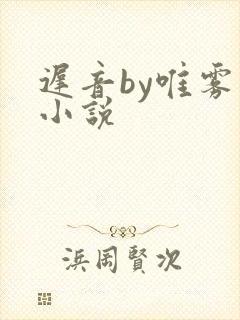 迟音by唯雾的小说封面