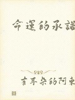 命运的承诺