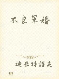 不良军婚封面
