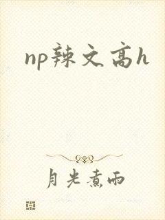 np辣文高h