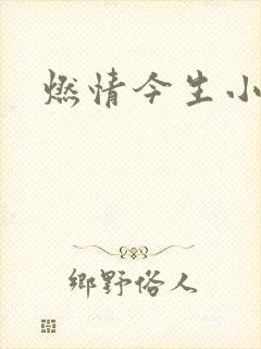 燃情今生小说