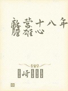 敌营十八年2虎胆雄心封面