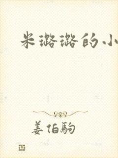 米璐璐的小说