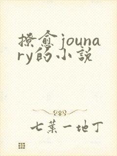 撩愈jounary的小说