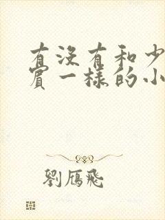 有没有和少年阿宾一样的小说