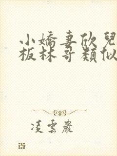 小娇妻欣儿和老板林哥类似小说封面