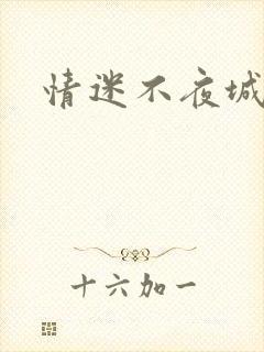 情迷不夜城